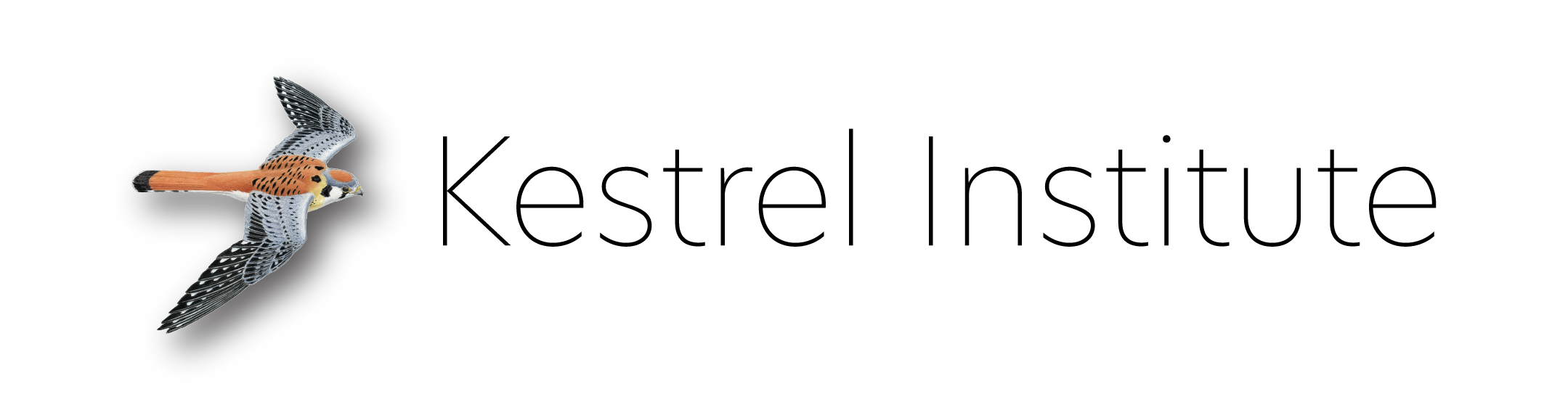 Kestrel Institute logo